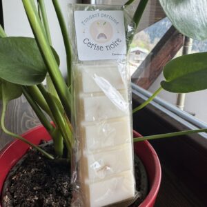 Fondant parfumé Cerise noire – Gourmand & intense | Cire de soja artisanale 40g