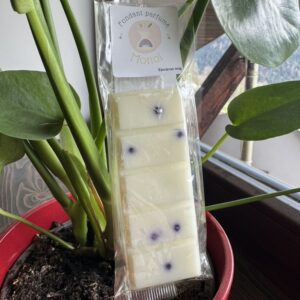 Fondant parfumé Monoï – Évasion solaire | Cire de soja artisanale 40g