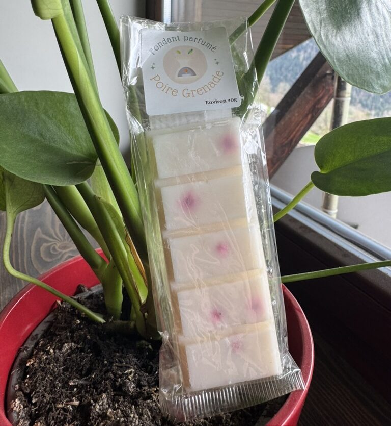 Fondant parfumé Poire Grenade – Fruité & pétillant | Cire de soja artisanale 40g